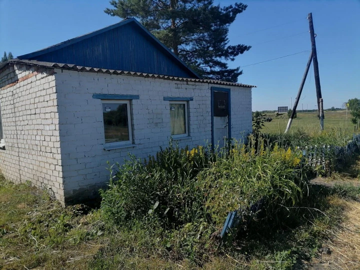 Здание 44,1 кв.м и земельный участок 162 кв.м в Курской области, Черемисиновский район, Русановский сельсовет, с. Русаново, дом № 24